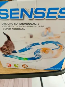 jouet chat