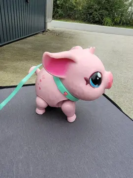 petit cochon