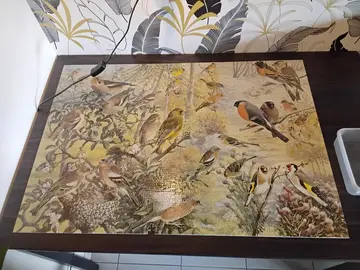 Puzzles