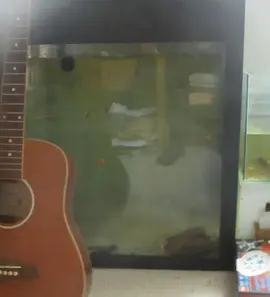 Aquarium carré