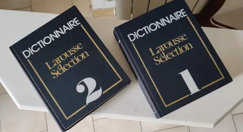 dictionnaire Larousse sélection