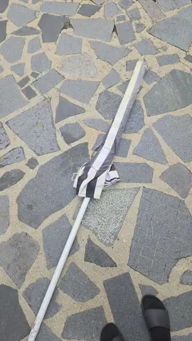 Parasol