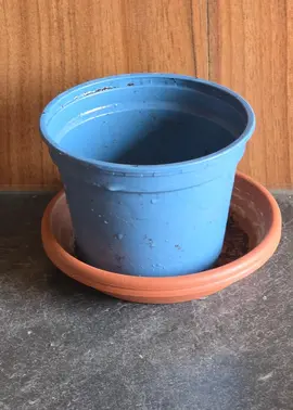 pot de fleur