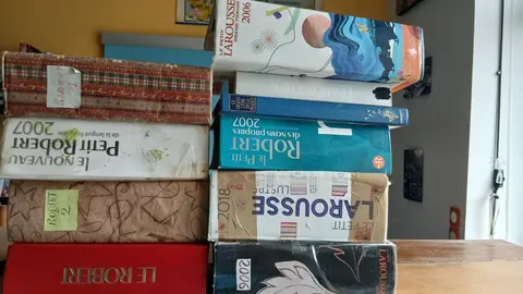 dictionnaires langue française