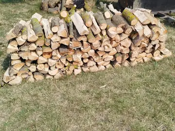 recherche bois de chauffage