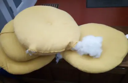 rembourrage coussin