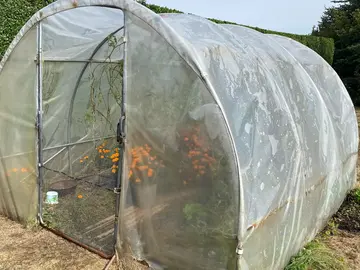 serre de jardin