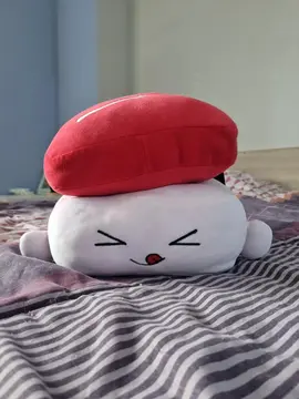 Peluche sushi