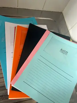 1 porte-document et des pochettes à fenêtre neuf