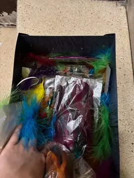 lots de plusieurs plumes pour divers créations