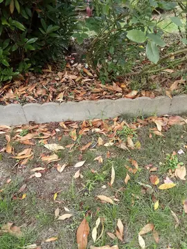 bordures de jardin en béton