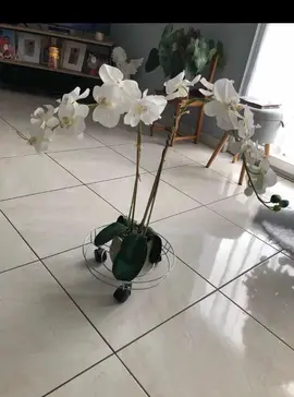 orchidée artificielle