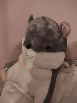peluche