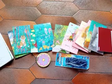 lot papeterie ( nombreux carnets)