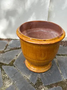 grand et gros pot de plante