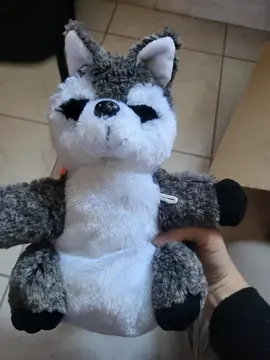 peluche raton laveur