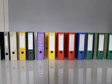 donne une trentaine de grands classeurs en état correct (majorité avec 8 cm de largeur du dos)