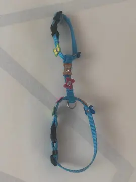petit harnais