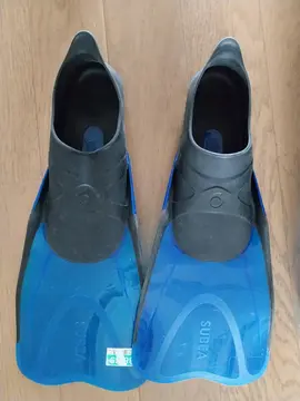 une paire de palmes 38/39