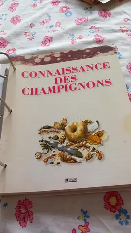 le monde secret des champignons