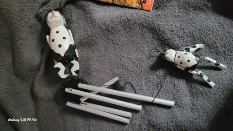 carillons musical chien