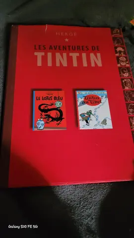 livre tintin