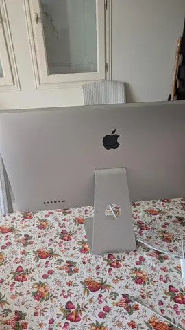 écran apple sortie display port