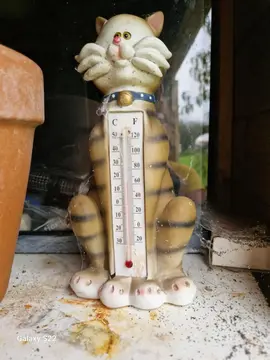 thermomètre intérieur