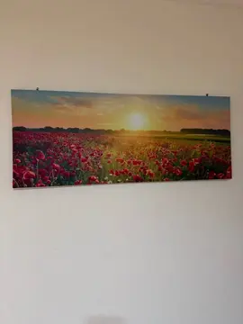 tableau fleurs