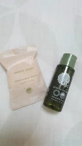 Shampooing et savon (mini format)