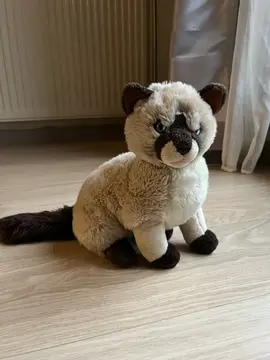 Peluche