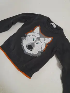 pull tête de loup 5 ans
