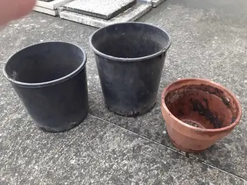 Pots de fleurs