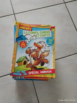 le journal de Mickey