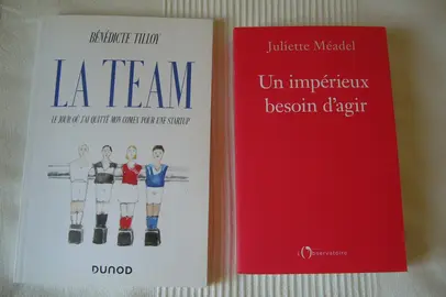 Livres sur l'entrepreunariat et le public