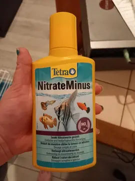 tetra nitrateminus aquarium