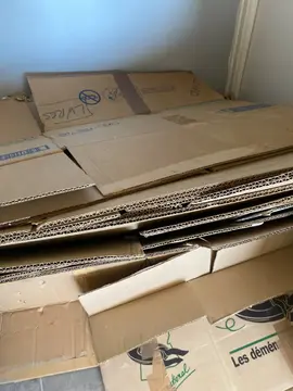 cartons déménagement
