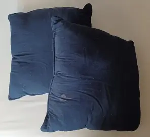 2 coussins 45x45 cm