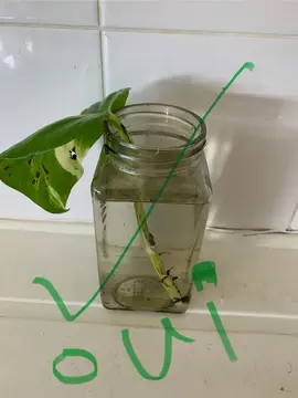 planète