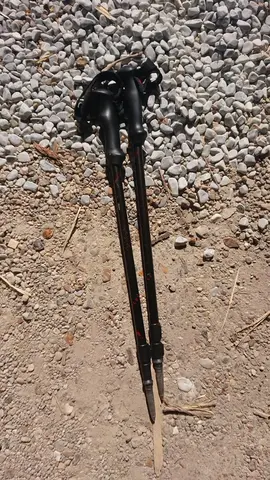 Batons de marche