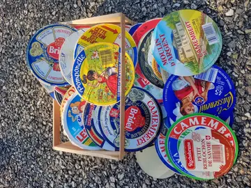 couvercles de camenbert