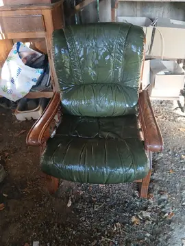 fauteuil en cuir vert