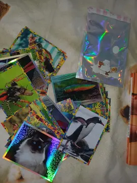 donne carte animaux
