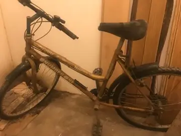 Vélo adulte
