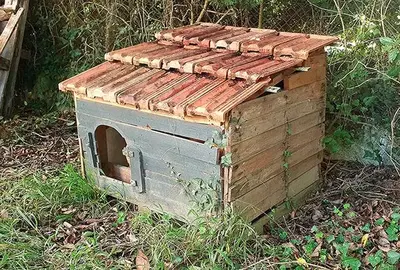 Niche à restaurer