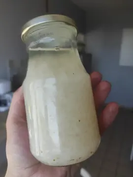 grains de Kefir