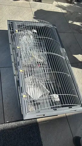 cage à rongeurs ou lagomorphes