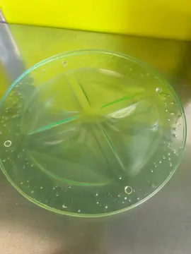 dessous de plat en verre