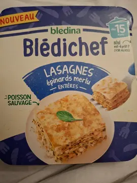 Lot 2 plats bledichef lasagne épinard merlu