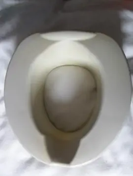 Rehausseur de WC